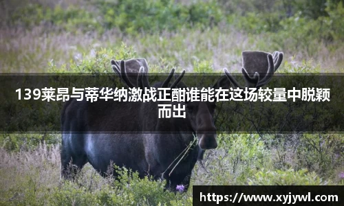 Mksport体育app官网入口