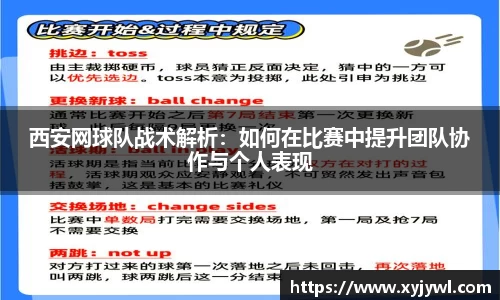 Mksport体育app官网入口