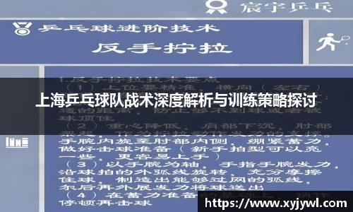 上海乒乓球队战术深度解析与训练策略探讨