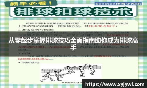 从零起步掌握排球技巧全面指南助你成为排球高手