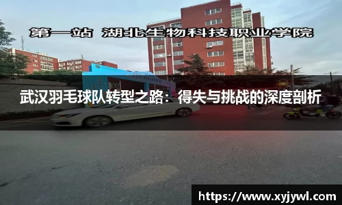 武汉羽毛球队转型之路：得失与挑战的深度剖析